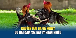 Khuyến Mãi Đá Gà Kubet – Ưu Đãi Đậm Tay, Nạp Ít Nhận Nhiều