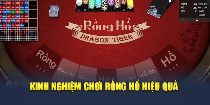 Kinh nghiệm chơi rồng hổ hiệu quả
